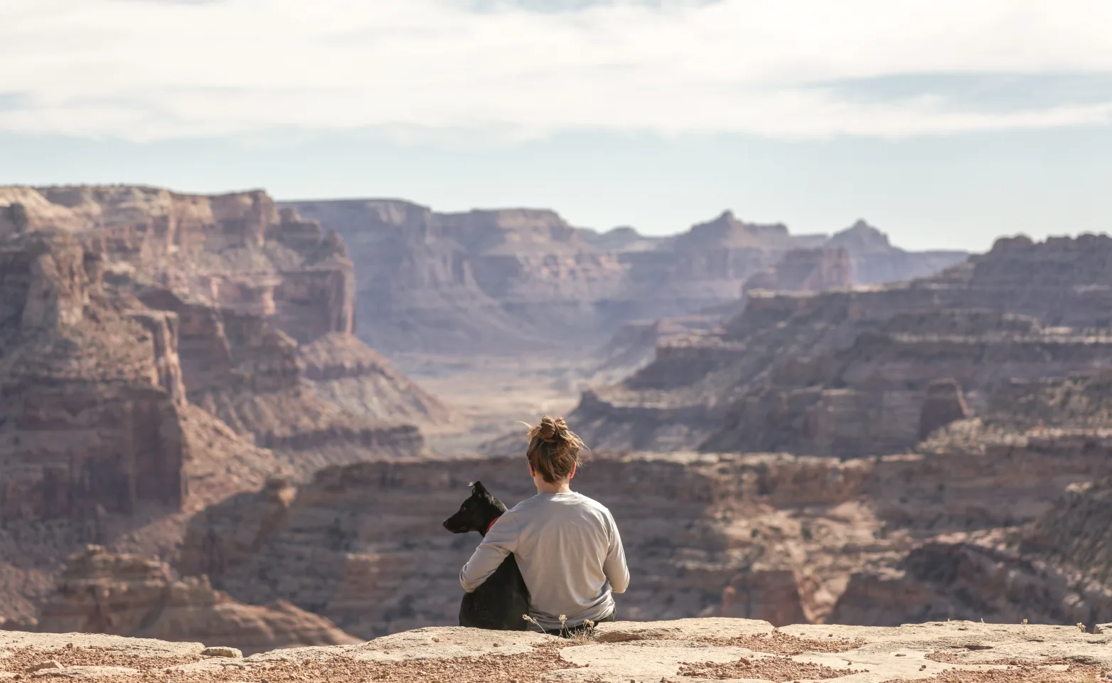 Dog and person sitting on the edge of a cliff starring at the canyon.